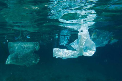 20世纪最糟糕之发明正一步步吞噬着海洋_塑料