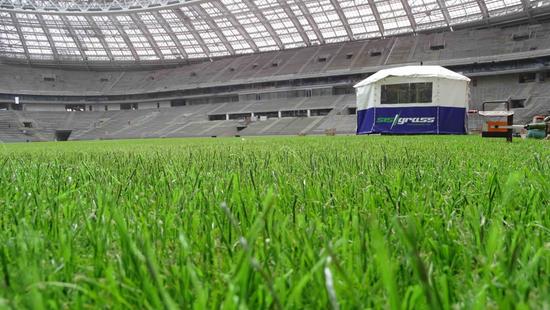 2018年世界杯决赛场地将首次使用人造塑料草