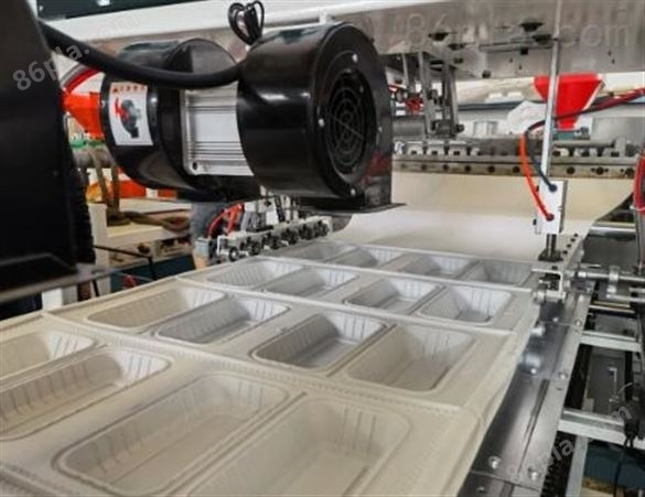 PLA聚乳酸可降解餐盒生产机器设备