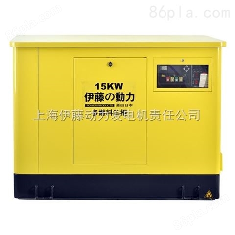 上海15KW汽油发电机哪里卖
