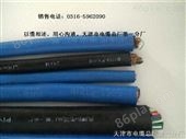  MHYV MHYVP 10X2X7/0.3电缆