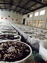 供应四川咸蛋腌制桶厂家3500升的咸蛋塑料腌制桶