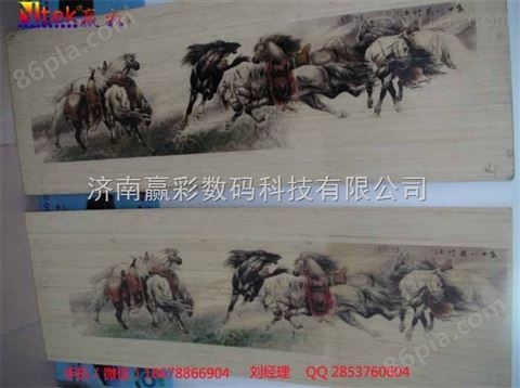 江苏南京徐州连云港赢彩2513E木板装饰画打印机